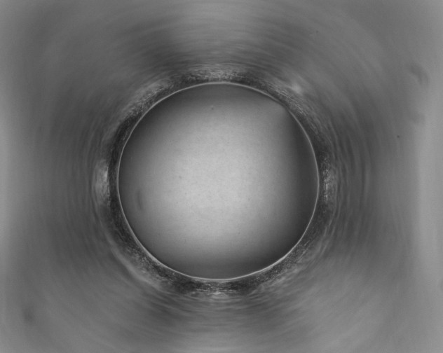 X0000111870254200907231518