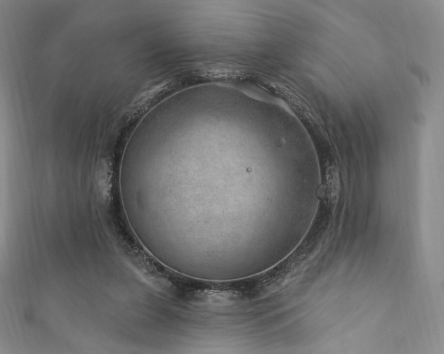 X0000111870255200907231518