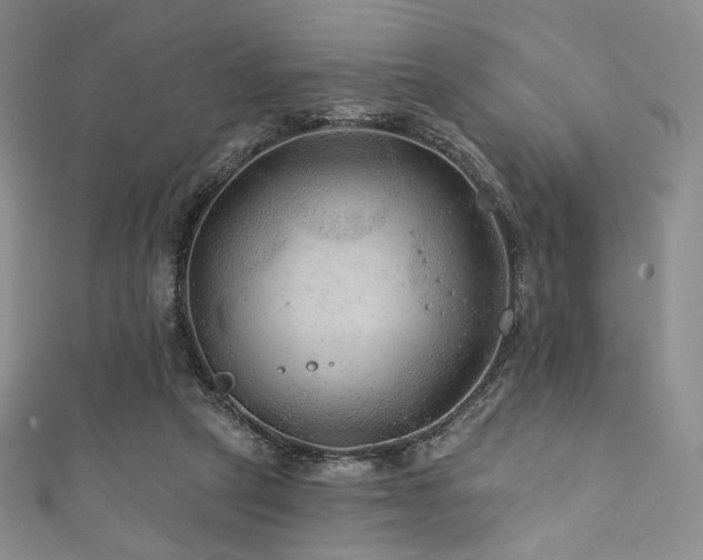 X0000111870257200907231518