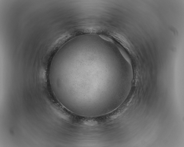 X0000111870258200907231518