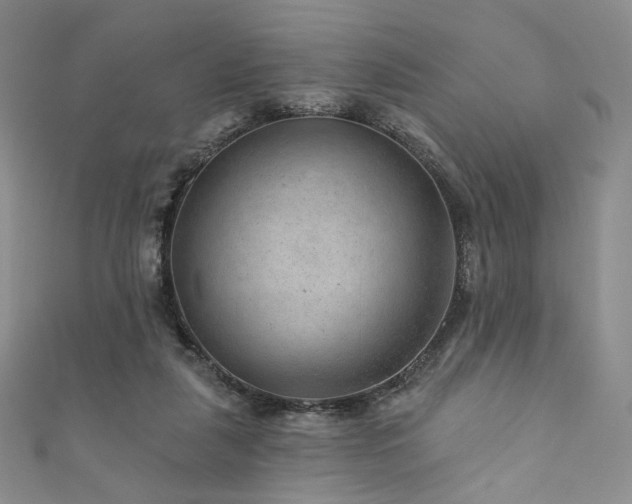 X0000111870259200907231518