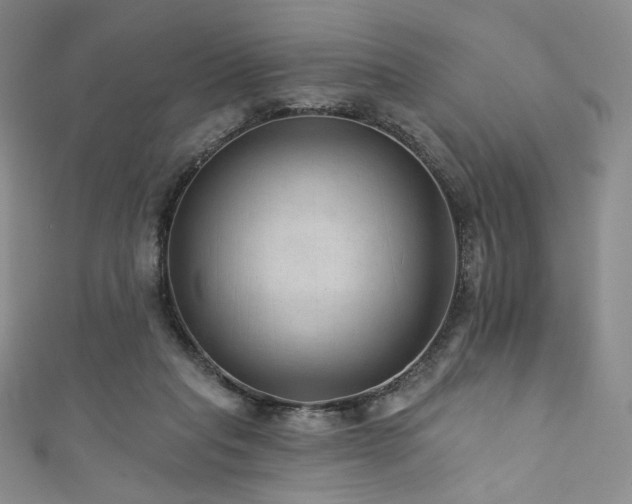 X0000111870261200907231519