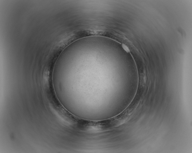 X0000111870263200907231519