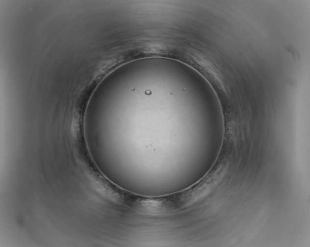 X0000111870265200907231519