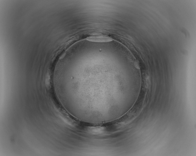 X0000111870266200907231519