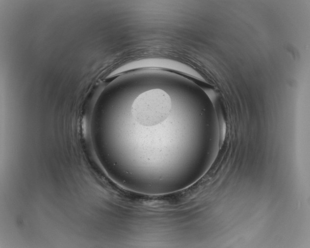 X0000111870268200907231519