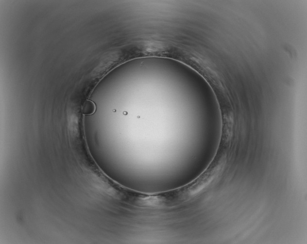 X0000111870269200907231519