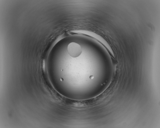 X0000111870272200907231519