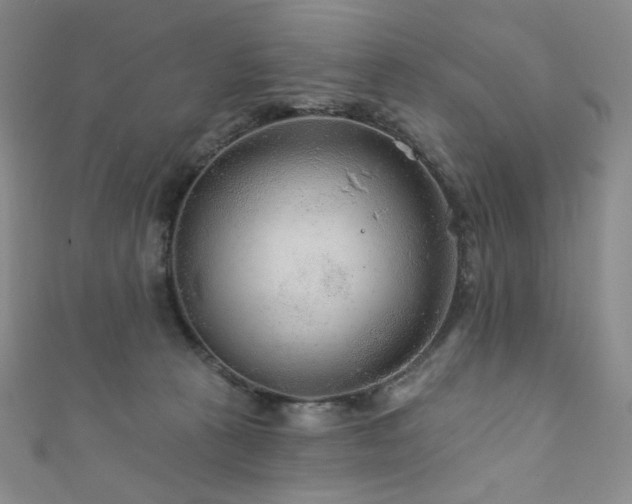 X0000111870273200907231519