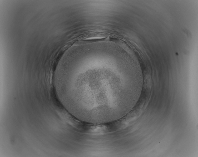 X0000111870274200907231519