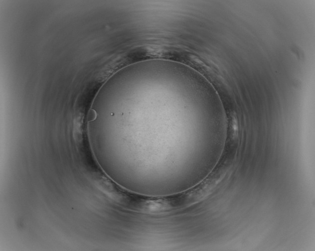 X0000111870275200907231519