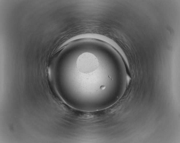 X0000111870276200907231519