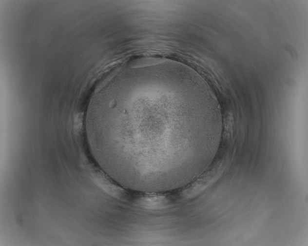 X0000111870278200907231519