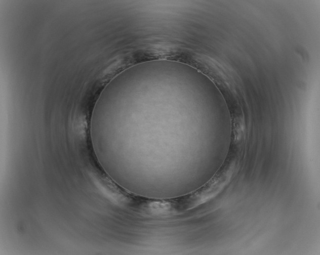X0000111870279200907231519