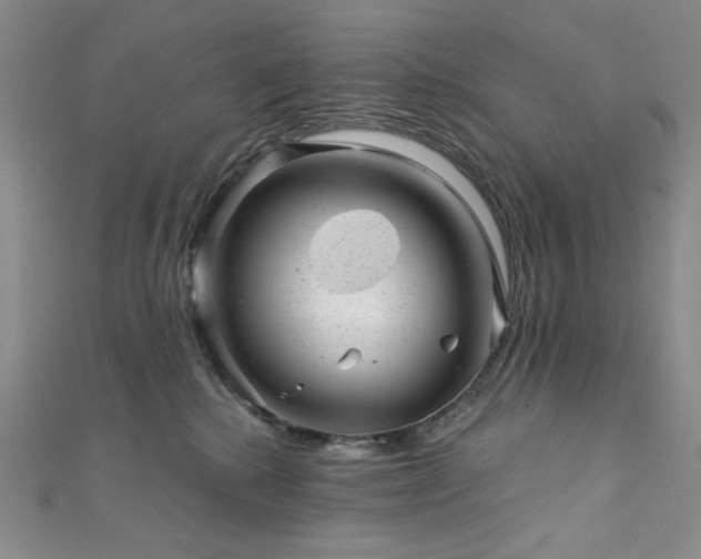 X0000111870280200907231519