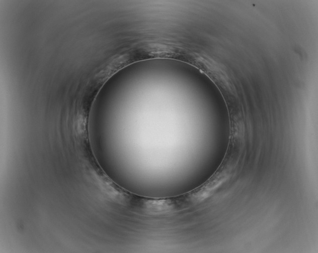 X0000111870281200907231519