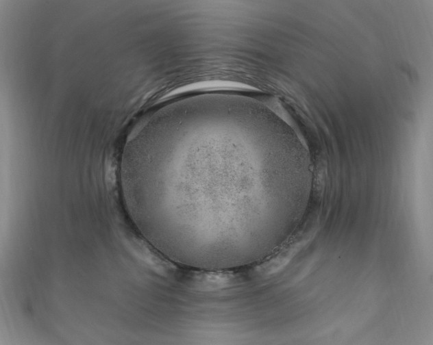 X0000111870282200907231519