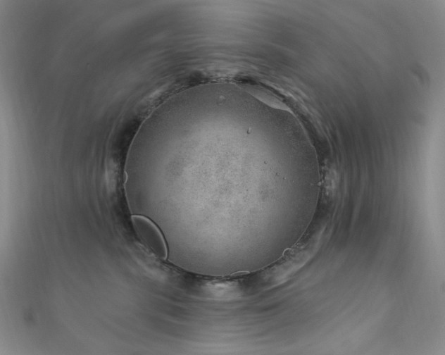 X0000111870283200907231519
