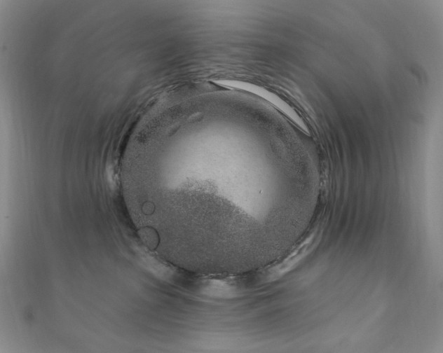 X0000111870285200907231519