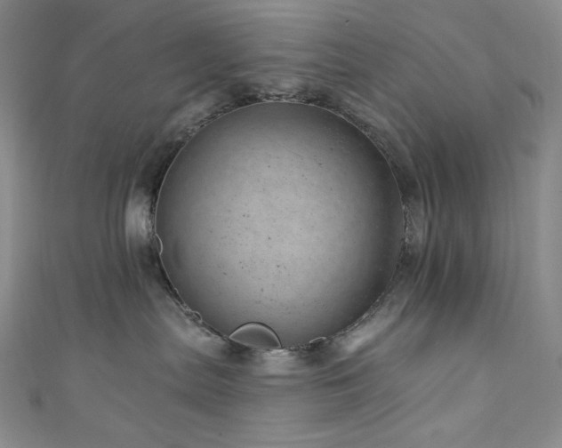 X0000111870287200907231519