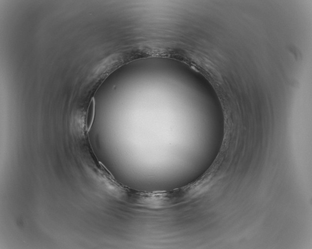 X0000111870288200907231519