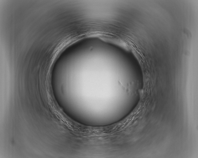 X0000111870289200907231518