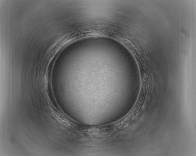 X0000111870290200907231518