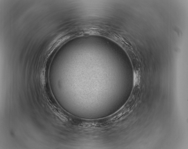 X0000111870291200907231518