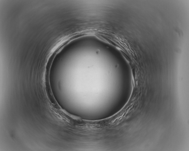 X0000111870292200907231518