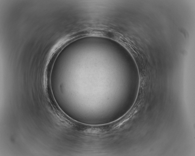 X0000111870294200907231518