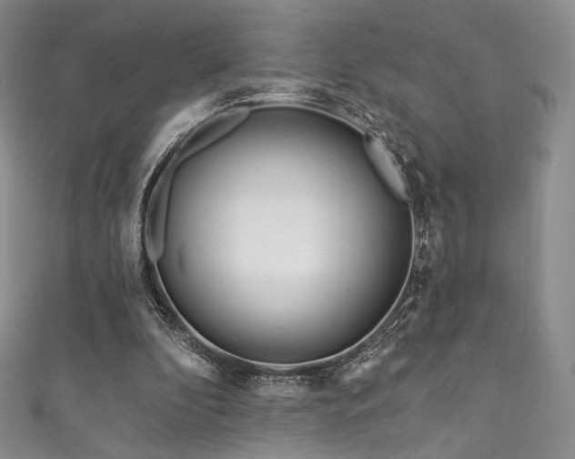 X0000111870296200907231518
