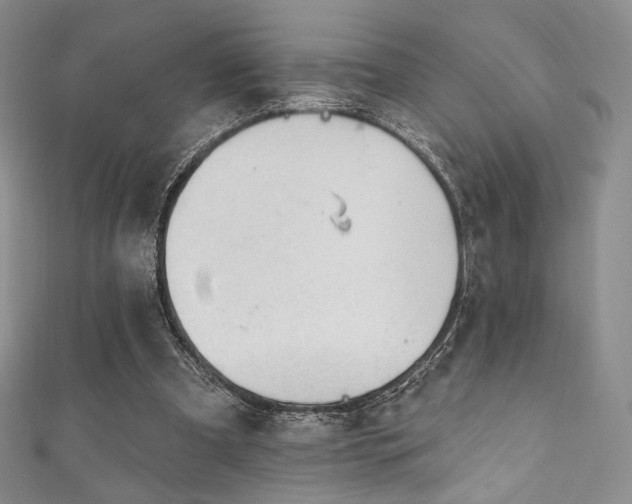 X0000111870297200907231518