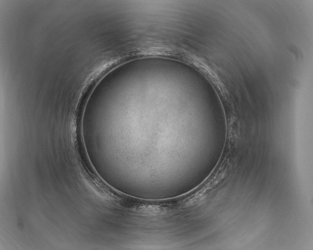 X0000111870298200907231518