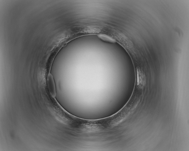X0000111870300200907231518