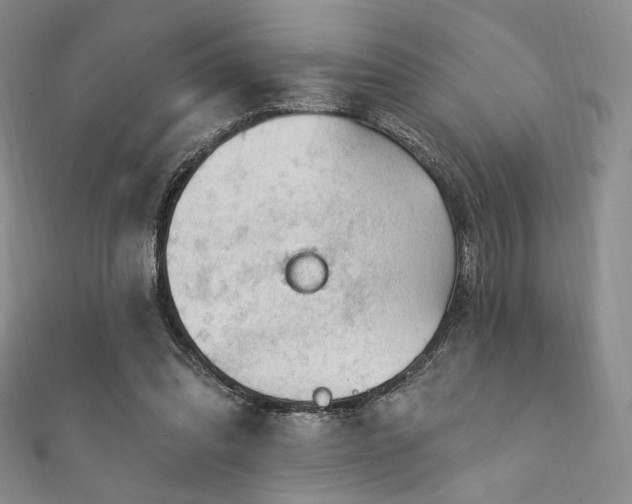 X0000111870302200907231518