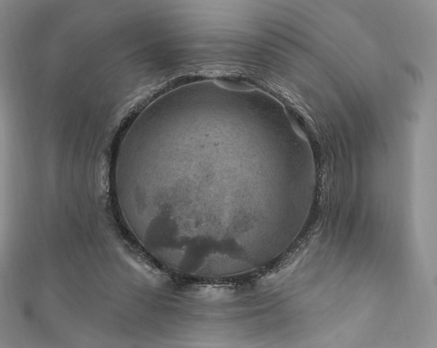 X0000111870303200907231518