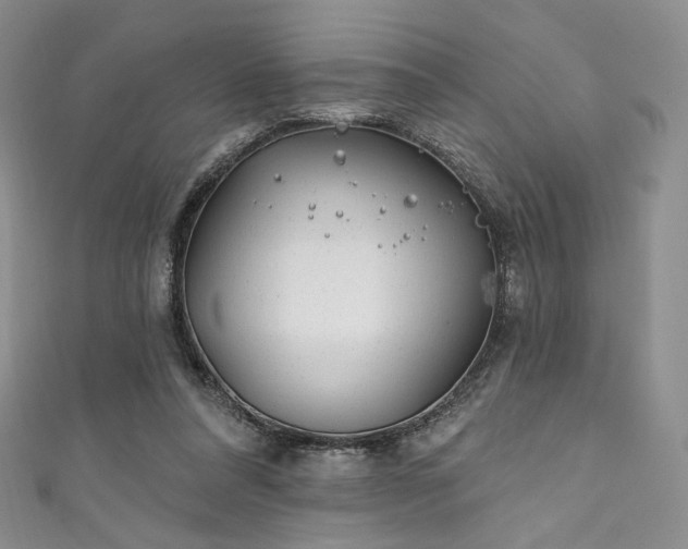 X0000111870304200907231518