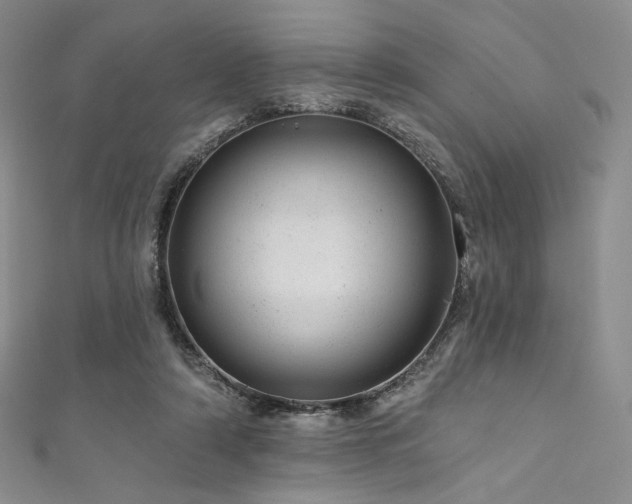 X0000111870306200907231518