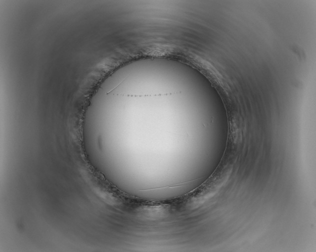 X0000111870307200907231518
