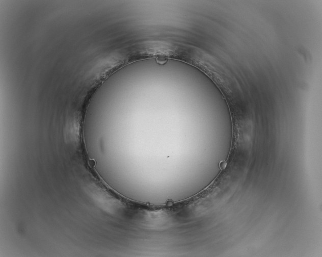 X0000111870309200907231518