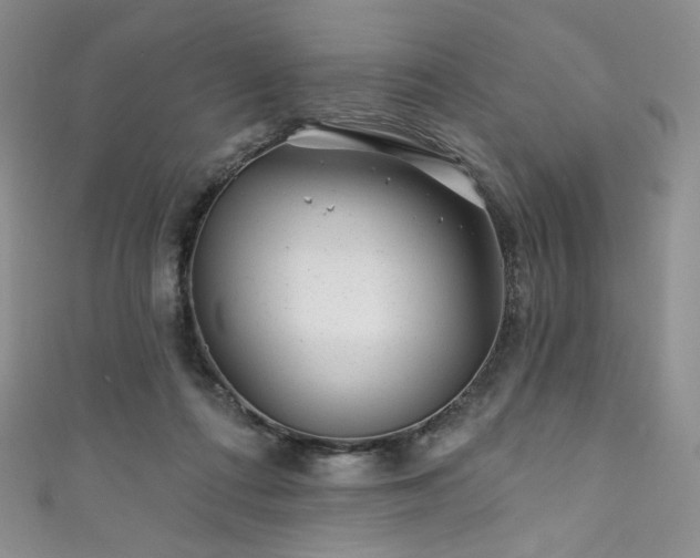 X0000111870312200907231518