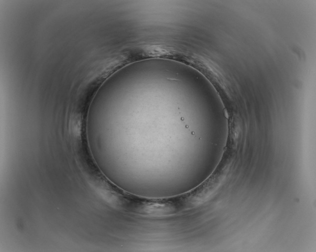 X0000111870315200907231518