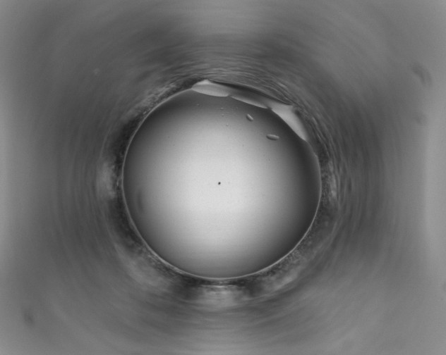 X0000111870316200907231518