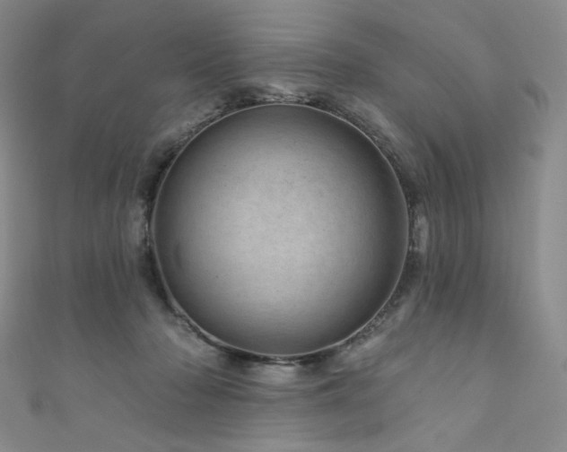 X0000111870318200907231518