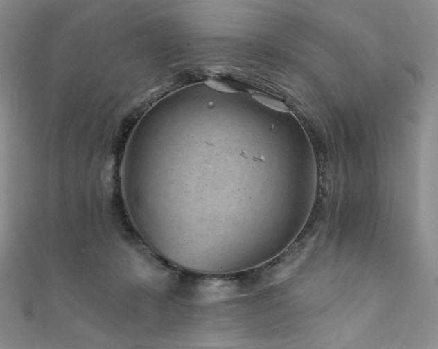 X0000111870319200907231518