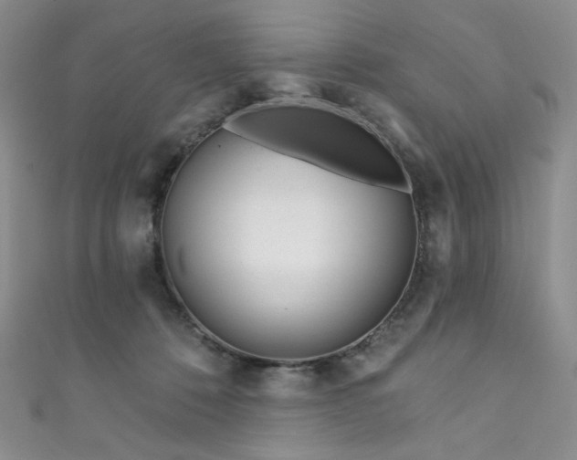 X0000111870320200907231518