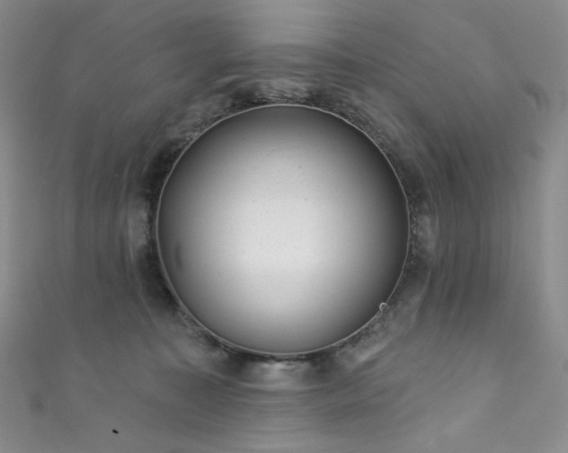 X0000111870323200907231518