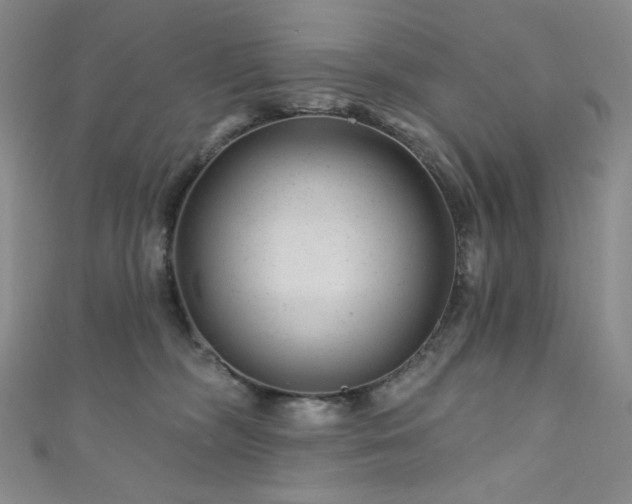 X0000111870326200907231518