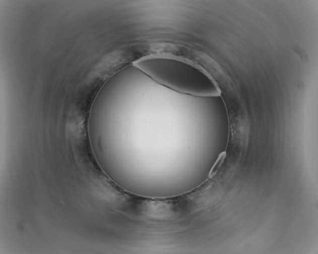 X0000111870327200907231518