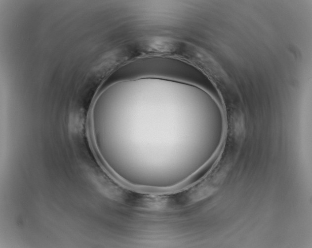 X0000111870328200907231518